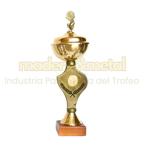 Imagen de Copa de metal con tapa - M5.156